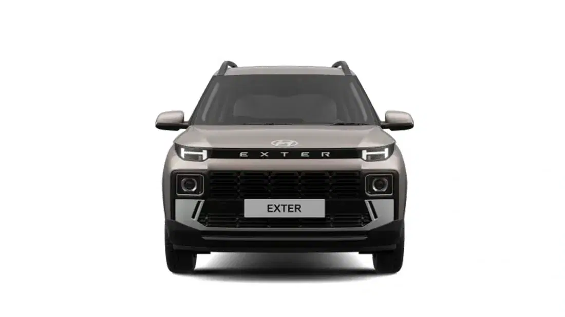models/1776503054496-Exter_03.webp